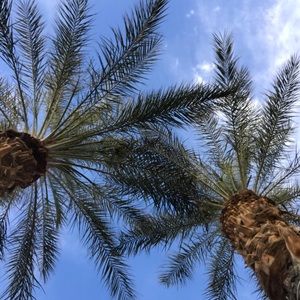 Meet your Posher, Abbey